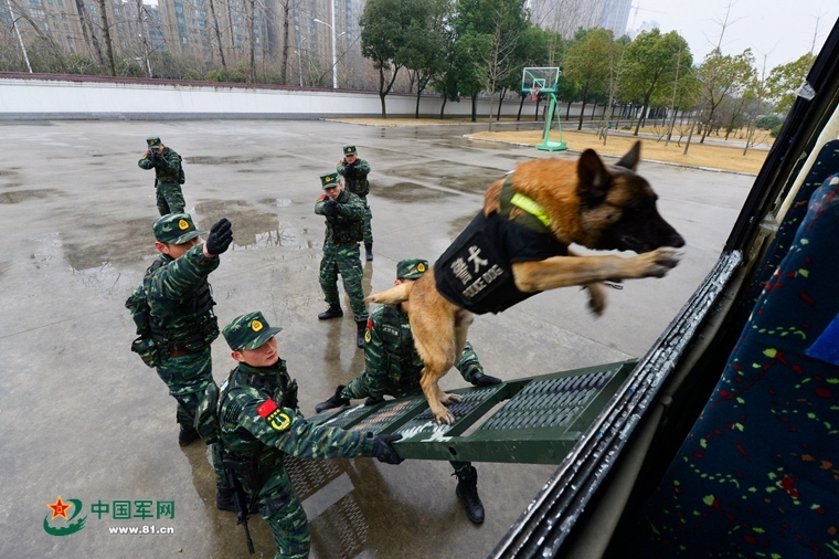 蒸包子发面的方法