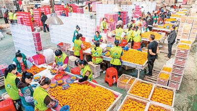 10月份进出口增速较9月份加快近4个百分点——中国外贸保持平稳增长（锐财经）  