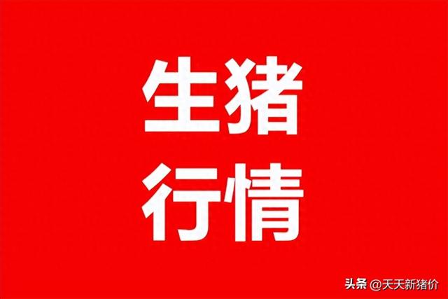 12月3日全国各地生猪价格！ 新希望多家子公司频繁因污染问题被罚 