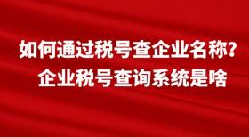 如何通过税号查企业名称？企业税号查询系统是啥 